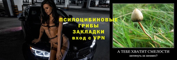apvp Абаза