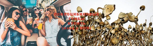 apvp Абаза