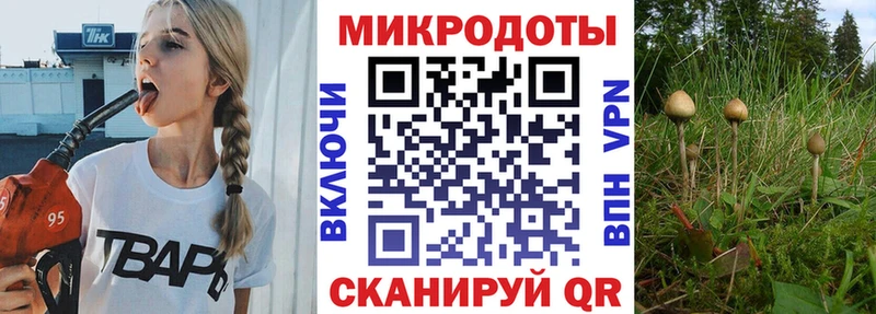Псилоцибиновые грибы Psilocybine cubensis  сайты даркнета клад  Якутск 